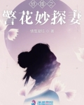 侦警之警花妙探妻