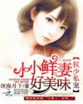 权少独宠小甜妻介绍