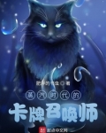 蒸汽时代的卡牌召唤师