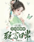 红楼:荣国府姨娘致富日常起点