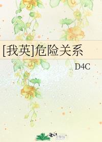 [我英]危险关系 D4C