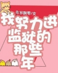 我努力进监狱的那些年