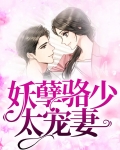 妖孽骆少太宠妻
