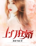 上门狂婿叶峰境界