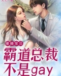 暖婚宝贝:霸道总裁不是gay