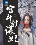 宫斗计谋妃