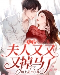 九爷,夫人又又又掉马了