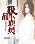 极品小司机简介