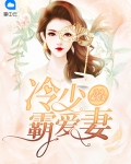 冷少霸爱妻