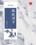 骆驼祥子(精品公版)