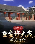 四合院:重生许大茂,逆天改命作者:紫色佩琪