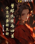 替嫁系列