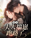 凌总,夫人揣崽跑路了