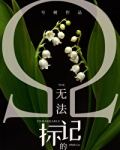 无法标记的omega
