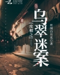 皮相之乌翠迷案