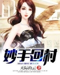 妙手回村李林笔趣阁