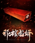 邪棺龙婿