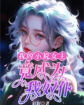 我的小说女主,竟成为我奴仆