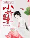 重生之替身小娇妻