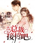 携子归来:总裁接招吧