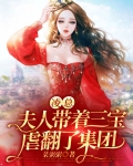 凌总,夫人带着三宝虐翻了集团