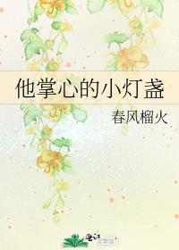 他掌心的小灯盏男主发现女主出轨的章节