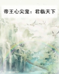 帝王心尖宠:君临天下