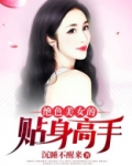 绝世美女的贴身保镖笔趣阁