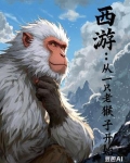西游从一只老猴子开始