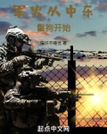 军火从中东鬣狗开始