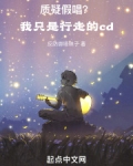 我只是路过歌词
