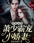 错嫁成婚:萧少霸宠小娇妻