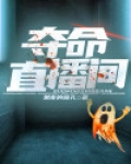 夺命直播间