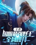 王者荣耀野王主播排行榜