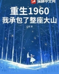 重生1960:我承包了整座大山 几案