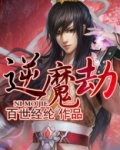 逆魔劫一样的小说