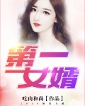 小说第一女婿