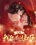 小说九凤