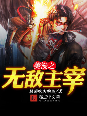 美漫之无敌主宰 小说