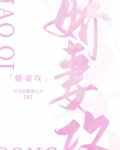 娇妻攻