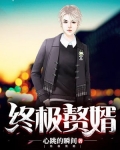 终极赘婿之女神的堕落全文阅读