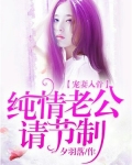 宠妻入骨:纯情老公请节制