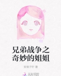 兄弟战争之奇妙的姐姐
