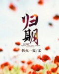归期(离婚后的故事)