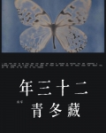 二十三年藏冬青