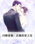 闪婚总裁霸气宠妻