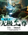 异界之无极至尊