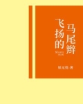 飞扬的马尾辫