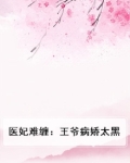 医妃难宠,王爷和离吧