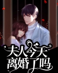 夫人今天离婚了吗?